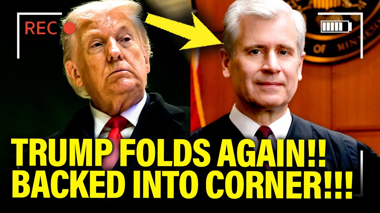 Trump RUNS SCARED in Minnesota after Chief Judge CORNERS HIM