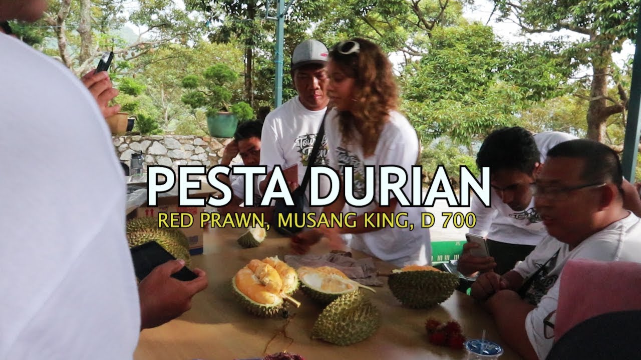 PESTA DURIAN D 700, RED PRAWN, MUSANG KING - SOON HUAT DURIAN FARM - PENANG