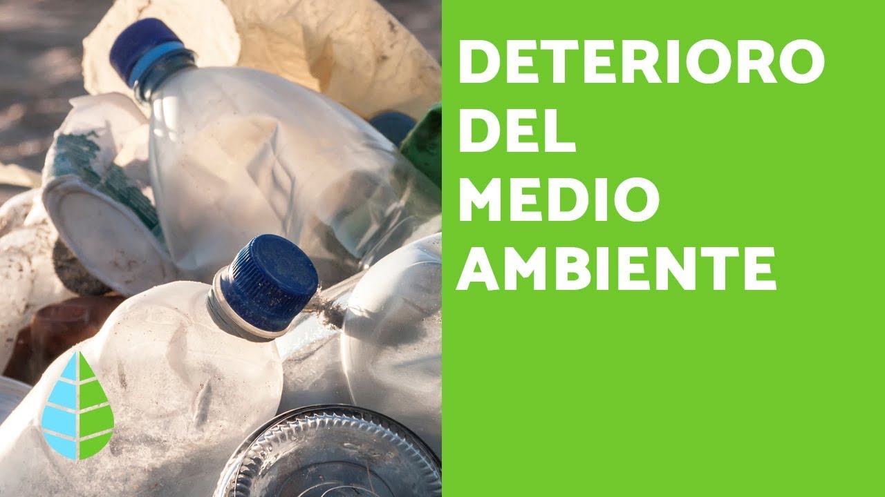 DETERIORO del MEDIO AMBIENTE - ¿Qué es el DETERIORO AMBIENTAL?