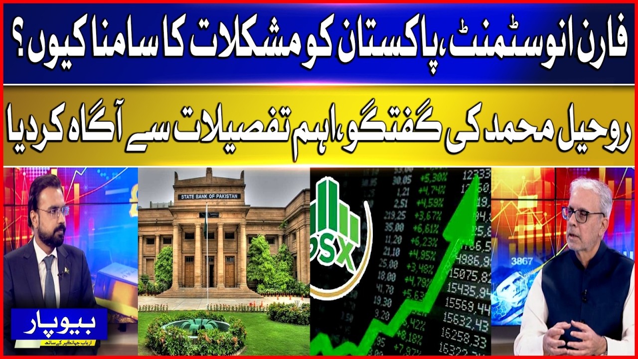 Foreign Investment Troubles: Key Insights for Pakistan&rsquo;s Economy | Bol News