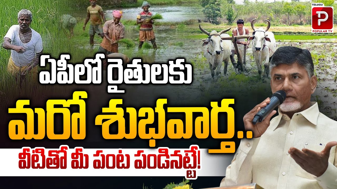 Andhra Pradesh Farmers Get Fresh Good News Crop Support Assured | Chandrababu Naidu | Popular TV