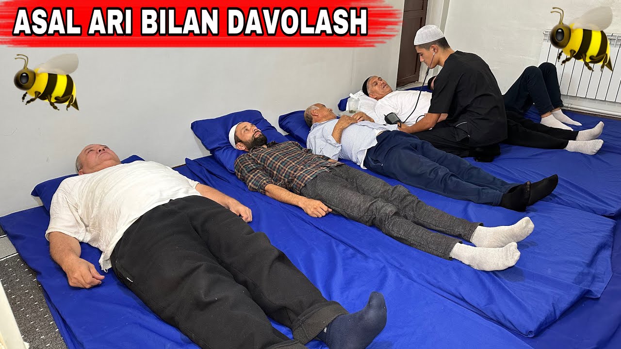 Asal ari bilan davolash/ АСАЛ АРИ БИЛАН ДАВОЛАШ