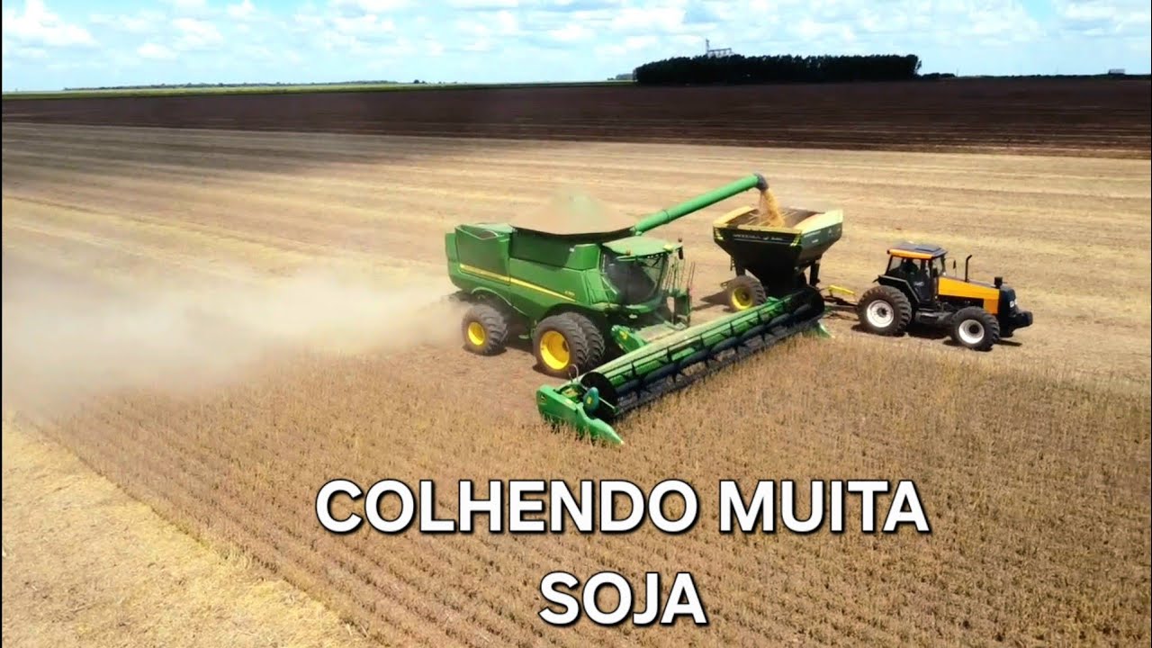COLHENDO SOJA NO MATO GROSSO DO SUL COM VARIAS MAQUINAS JOHN DEERE. SAFRA 25/26#MS#AGRO#BRASIL