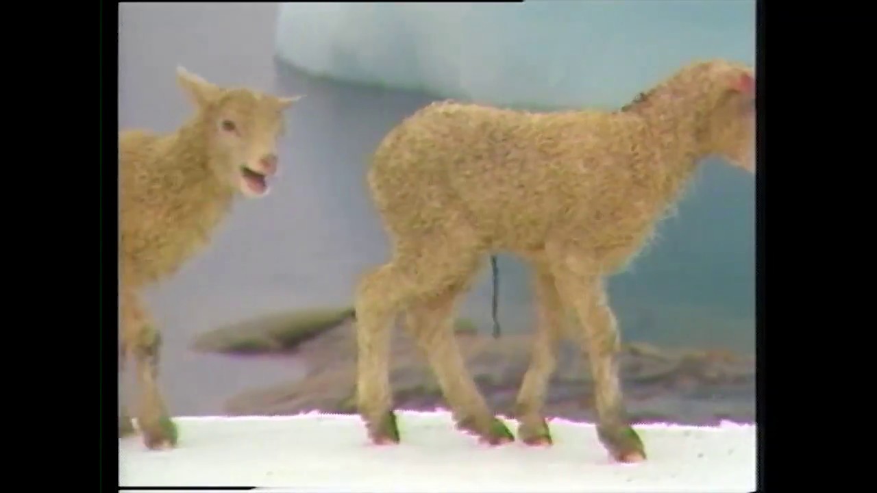 Savaateqarneq (1:2) KNR 1985
