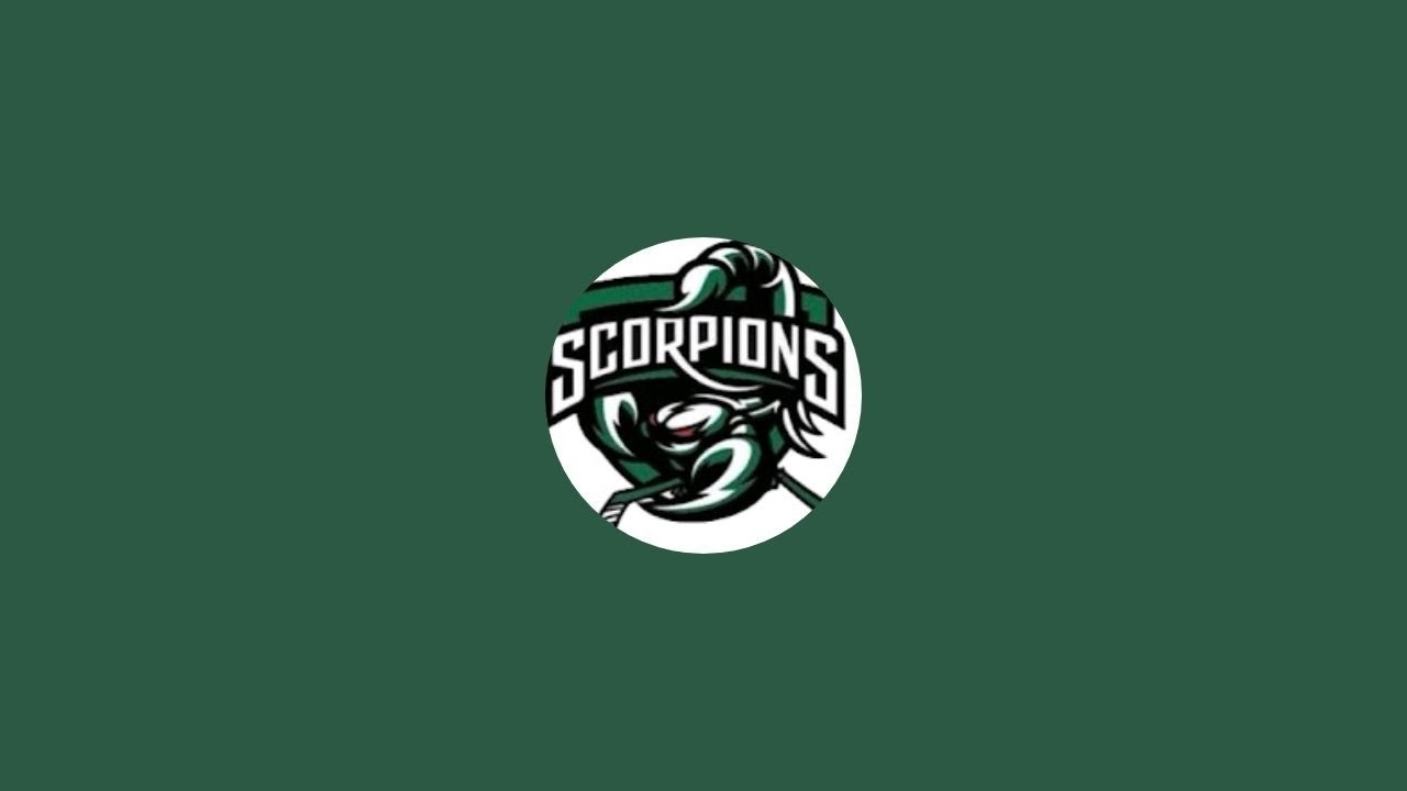 Scorpions vs Eagles - 20/02/2026