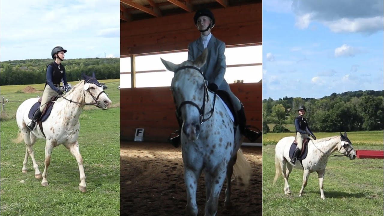 FIRST EVER EVENTING SHOW ?!