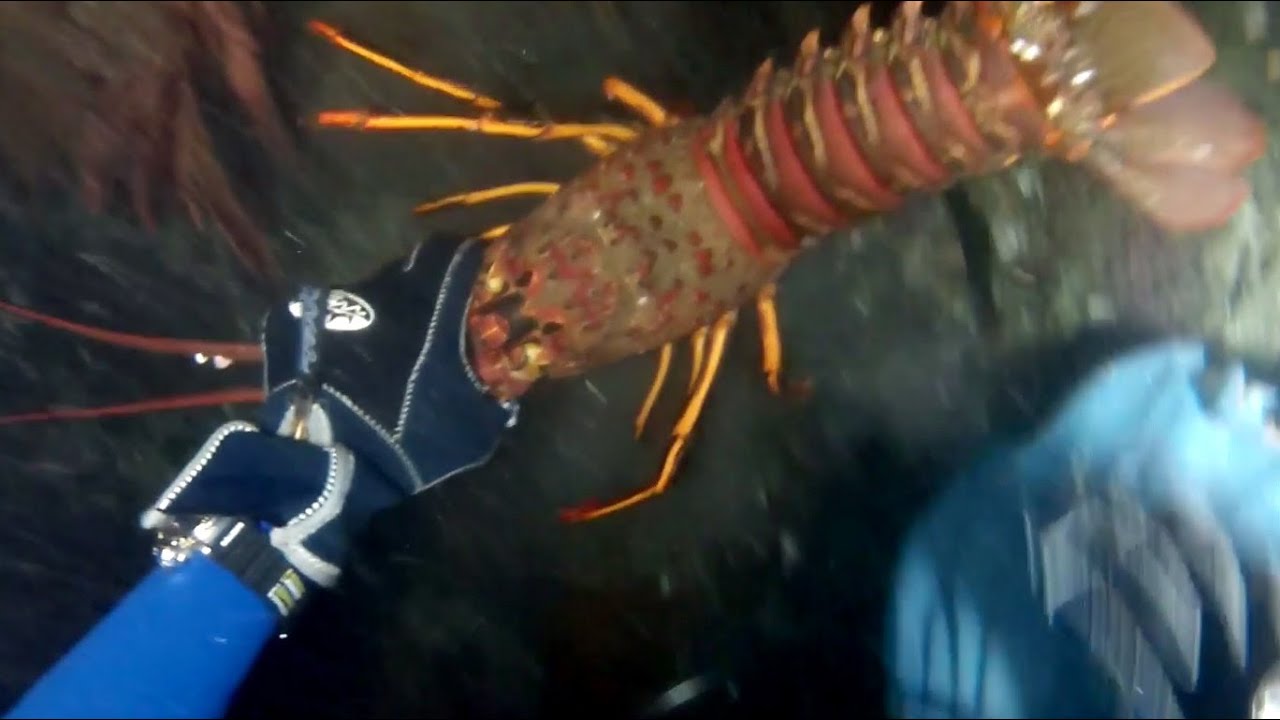 More Lobster Hunting and Kayak Diving with GoPro