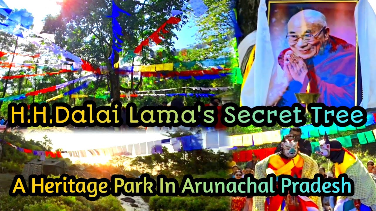 Did The 14th Dalai Lama Plant A tree In 1959?🌳