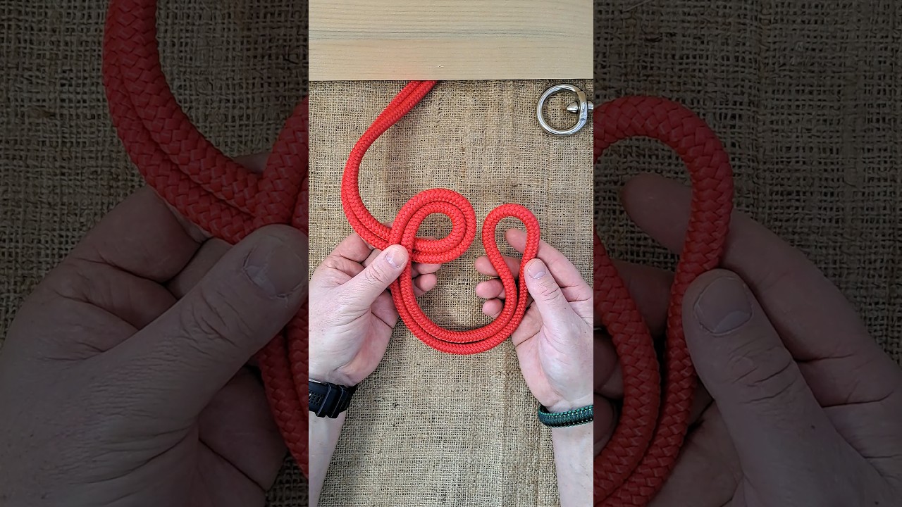 Learn Bowline on a Bight 