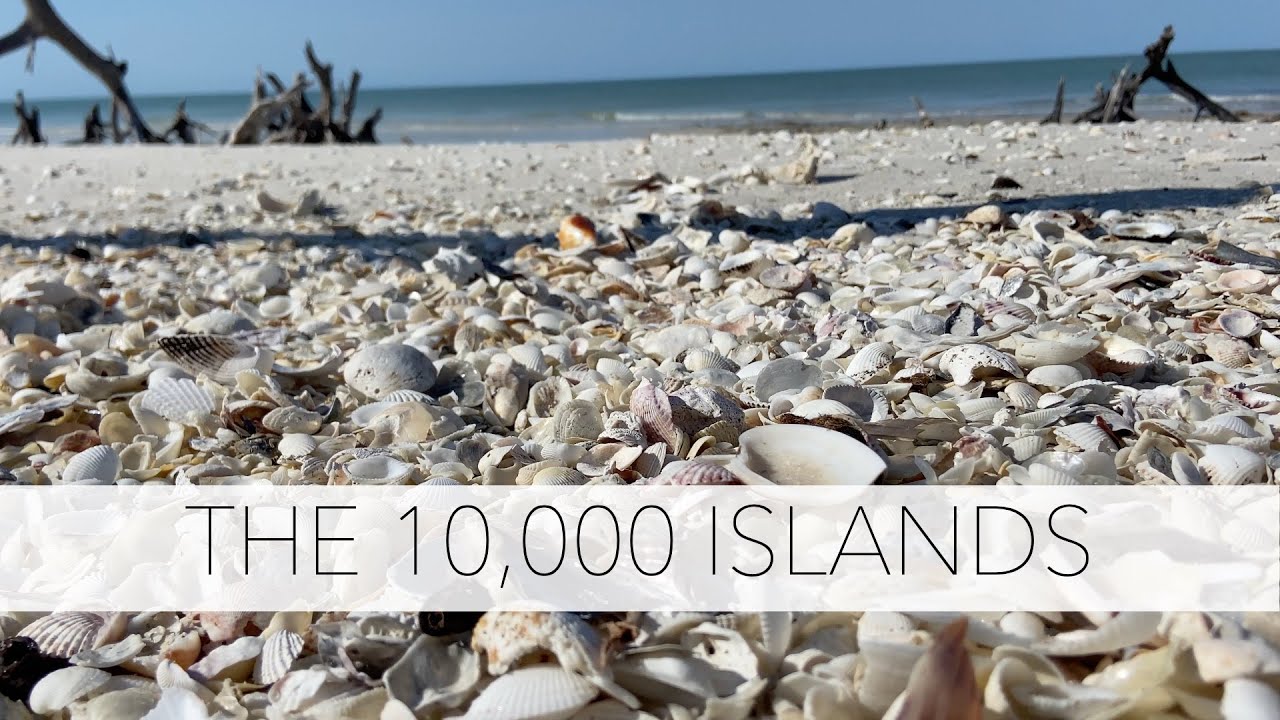Island hopping for sea shells. Kayak freedom to roam islands looking for shells.