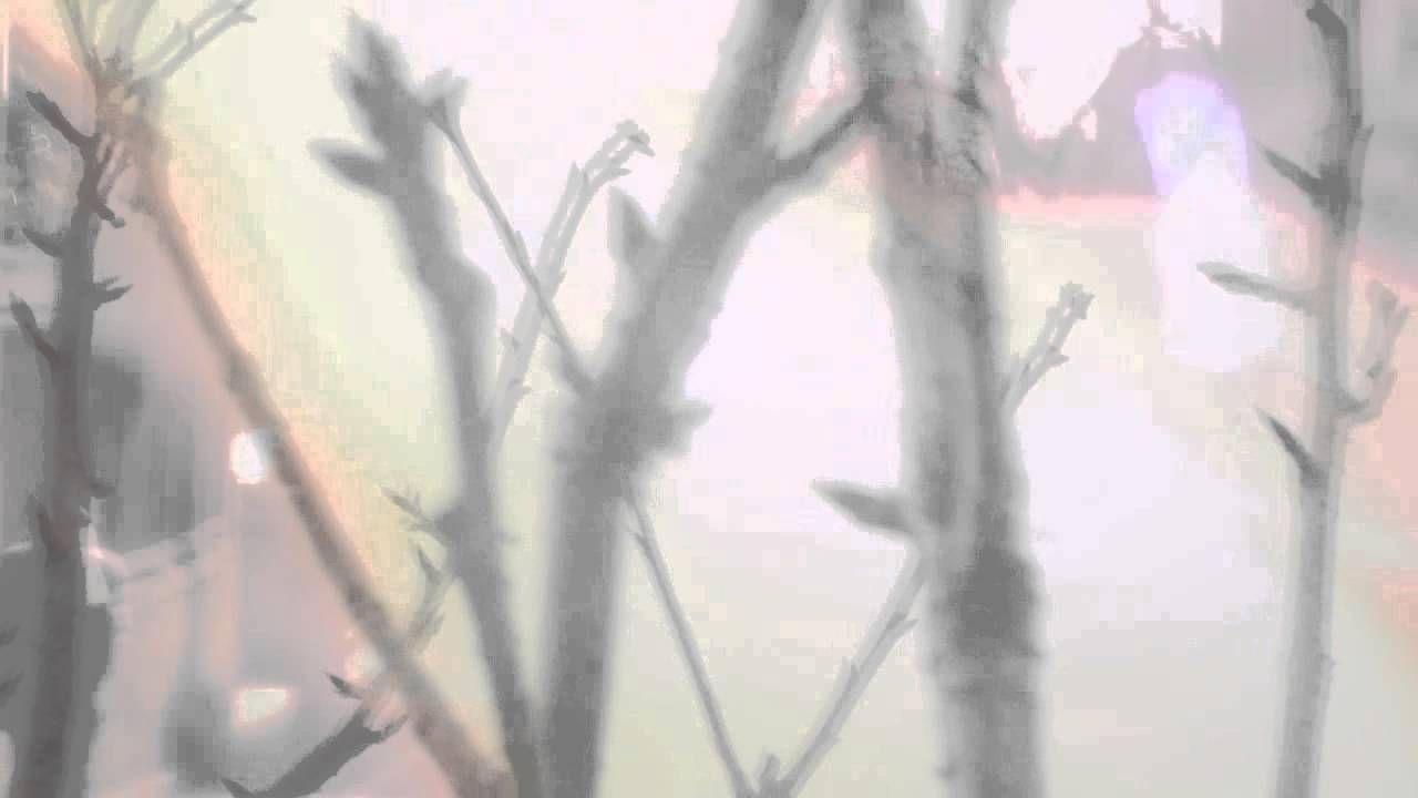 大橋トリオ / サクラ