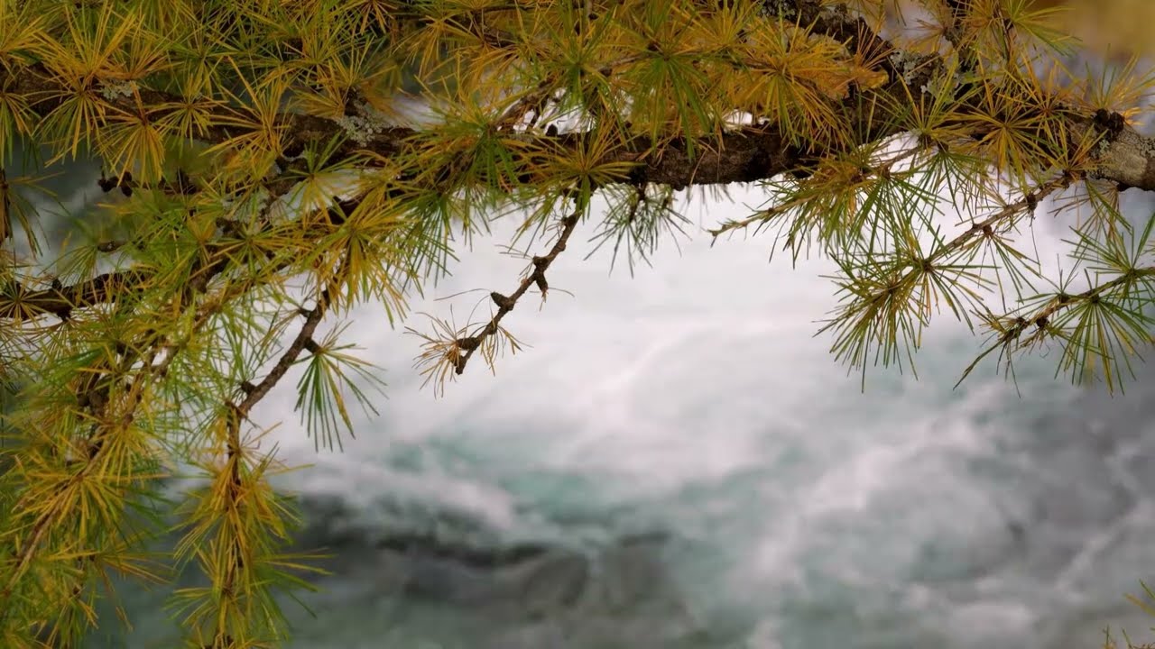 Relaxing Music for Sleep, Relaxation and Meditation ~ Calming + Sound of Water Flowing