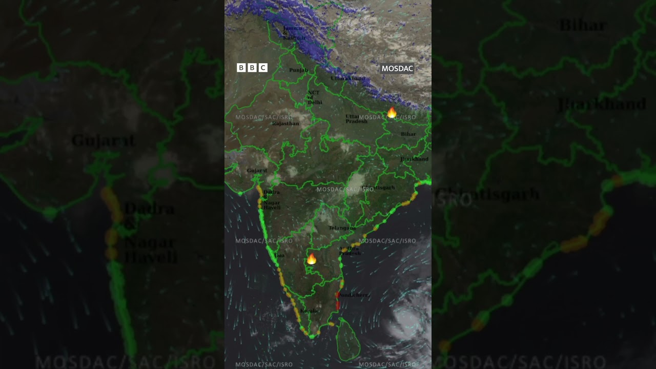 Gujarat Weather : ગુજરાતમાં વરસાદની કોઈ શક્યતા છે?