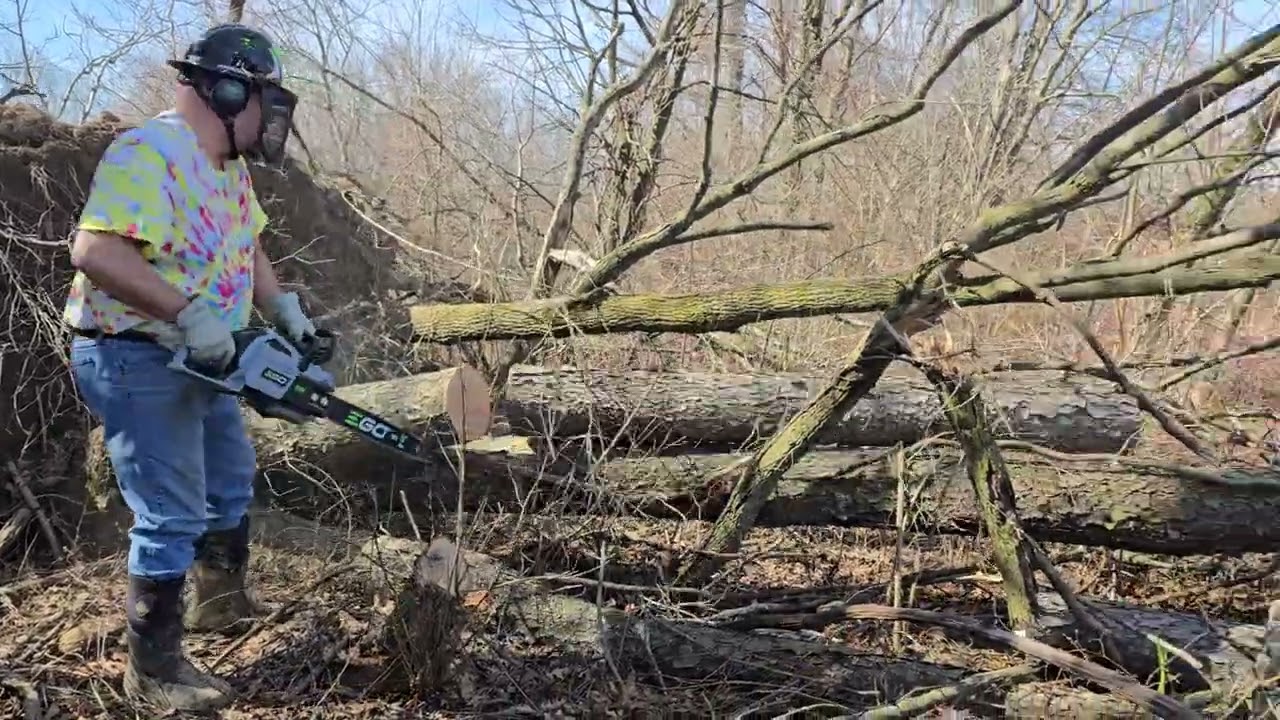 EGO CHAINSAW FARM AND RANCH 