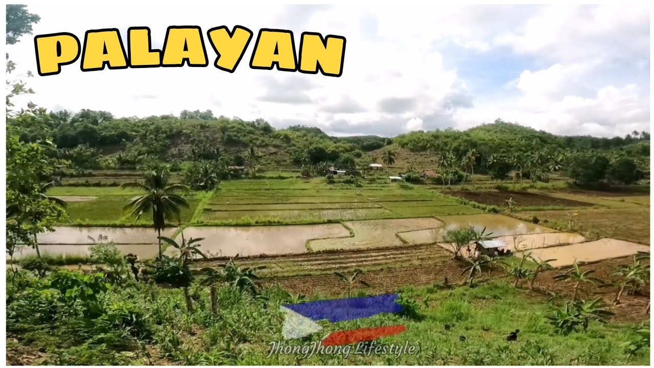 PAG MAY TANIM MAY AANIHIN 💕😍 inspired by: @jiggervillacorta @ThessalonicaFarm @traifarm