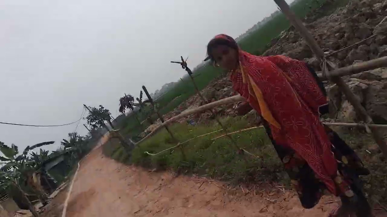 এই ভিডিওটা যারা যারা দেখছো তারা তারা সম্পূর্ণ দেখতে থাকো আমাদের এখানে দুটো বাচ্চা মারা গেছে 😭😭😭😭🥶🥶🥶😤