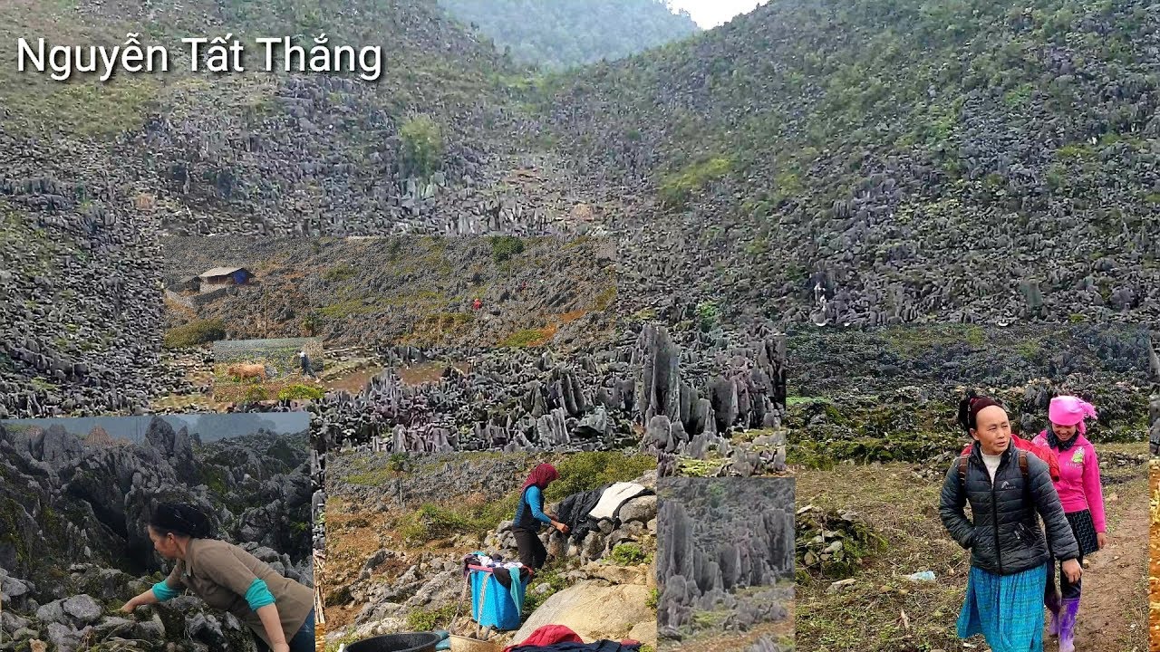 Cánh đồng đá tai mèo Mùa Giáp Hạt. Nguyễn Tất Thắng