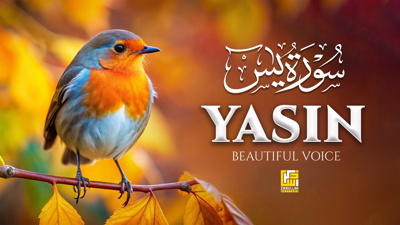 Surah Yasin (سورة يس) | Tranquil Lofi Quran Recitation for Sleep | Zikrullah Reciters