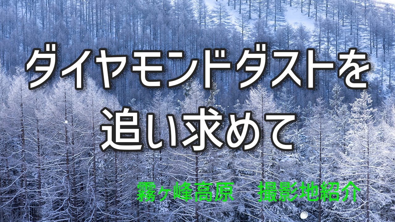 ダイヤモンドダストを追い求めて／霧ヶ峰高原