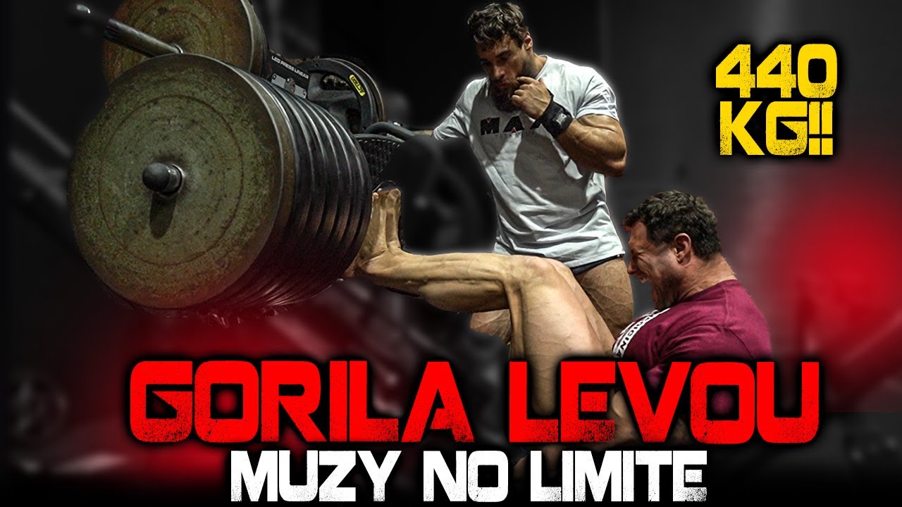 GORILA LEVOU MUZY AO LIMITE !!