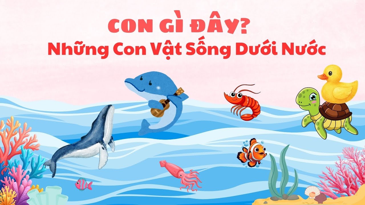 Con Gì Đây | Những Con Vật Sống Dưới Nước | Dạy Bé Học Nói | Melly Tủ Sách Thú Vị
