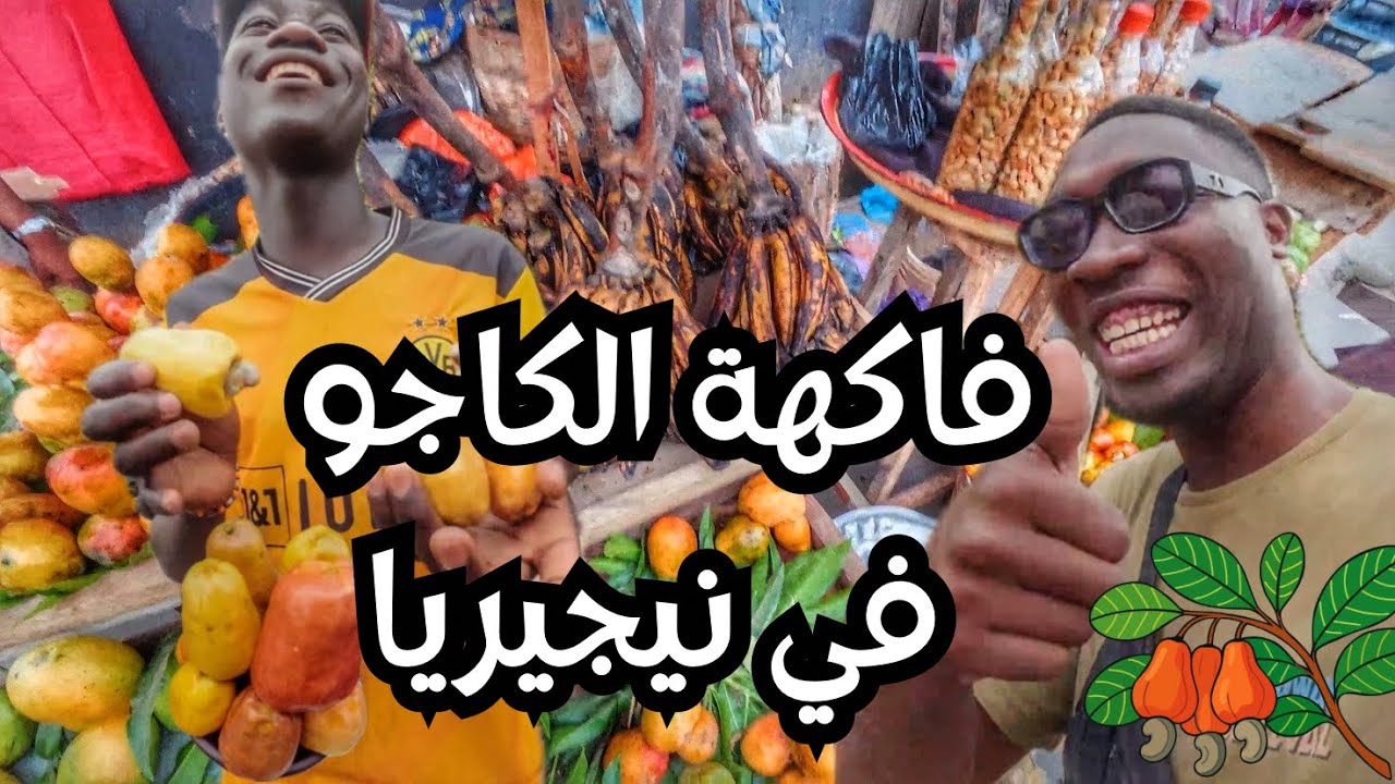 الفواكه الاستوائيه الغريبه في نيجيريا جربت ثمره الكاجو