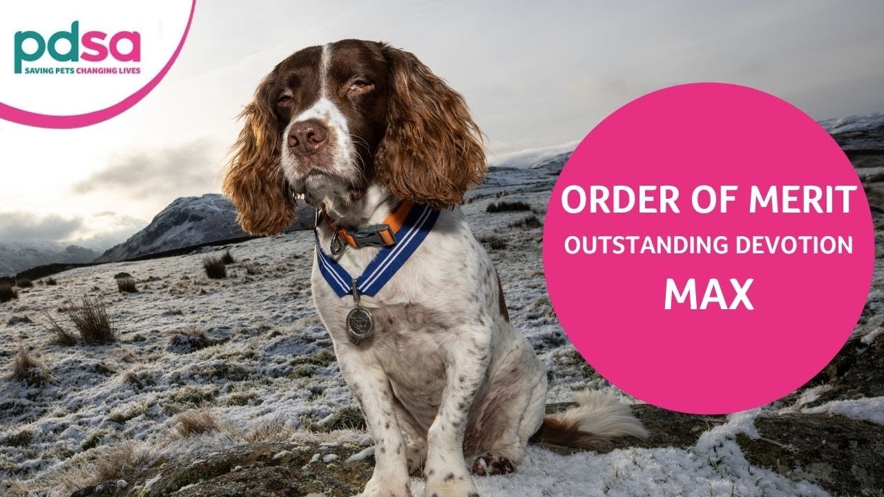 Max is awarded the PDSA Order of Merit