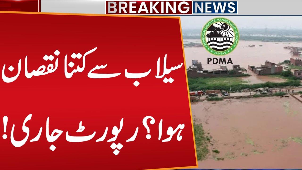 PDMA Punjab Releases Flood Damage Report | Breaking News | Public News