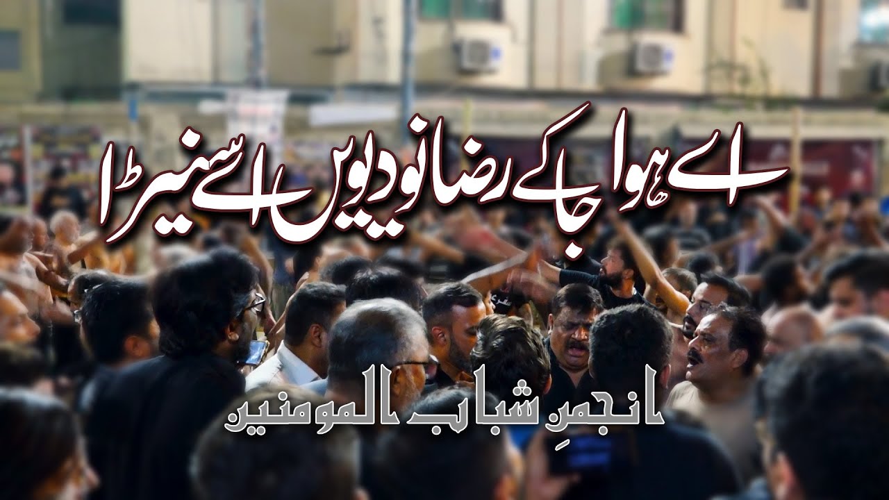 Ay Hawa Ja K Raza Nu | Nazim Party | Maula Imam Raza Noha | Almehdaviat