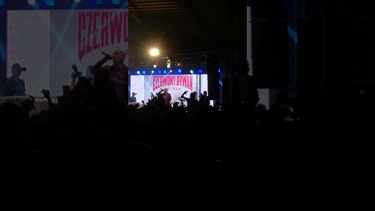 Paluch . Koncert Emilianów 2019.07 . Szaman !