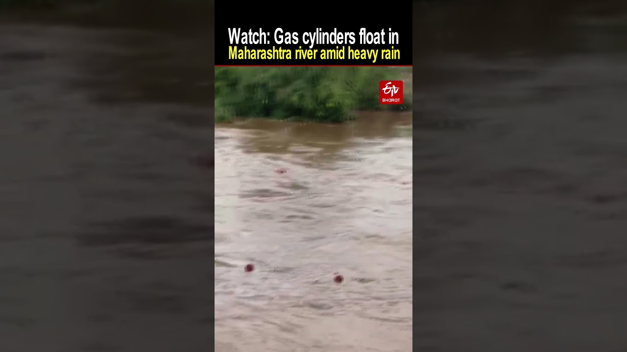 Mumbai Monsoon: Gas cylinders float in Maharashtra river amid heavy rain | ETV Bharat