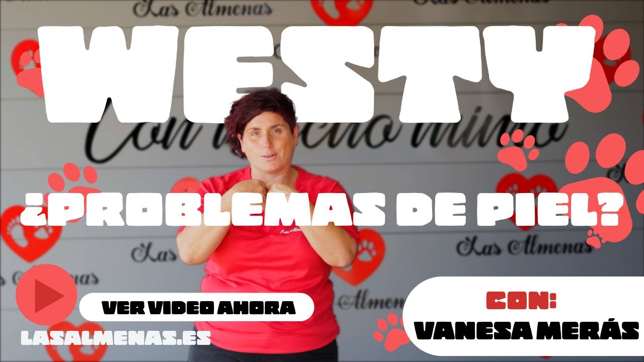 C&oacute;mo Cuidar la Piel del Westy: Problemas Comunes y Soluciones🐶✨ | Centro Canino Las Almenas