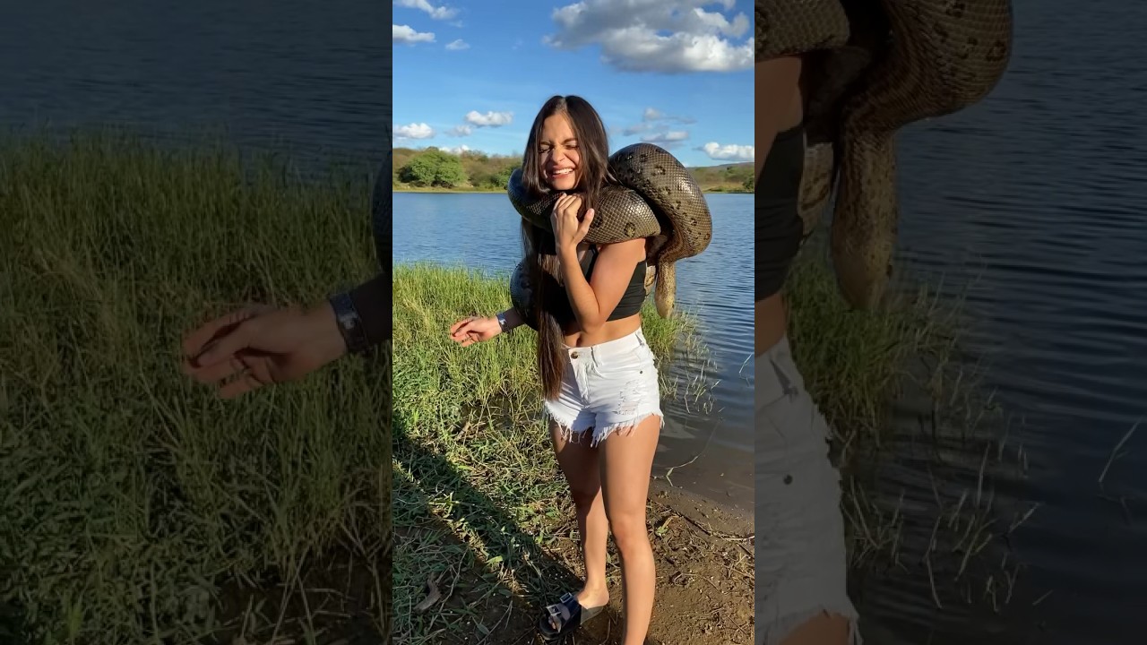 A sucuri me enforcou!?? 😱😍 #animais #serpentes #sucuri #pantanal