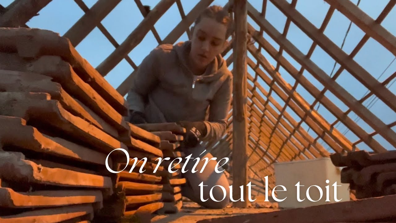 On démonte le toit de la dépendance 🏡🔨