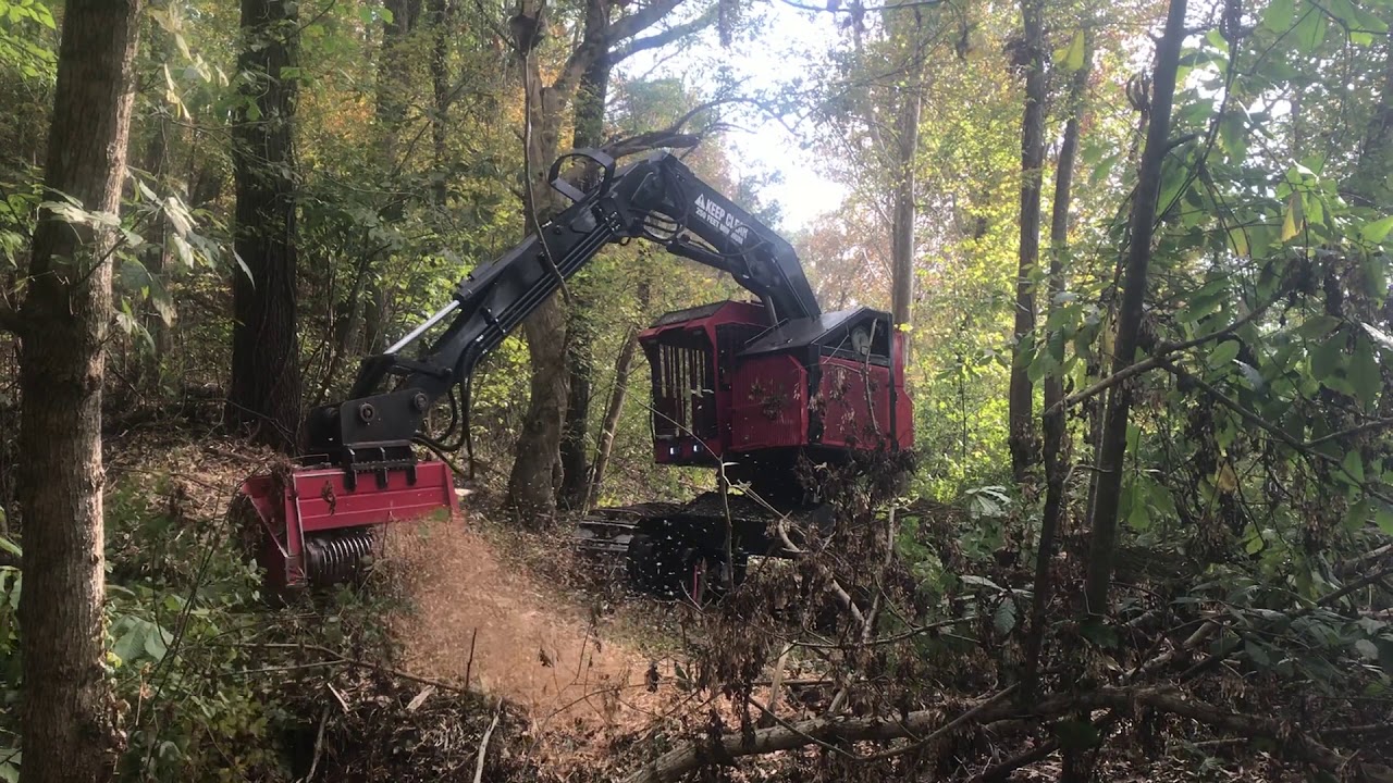 Forestry Mulching Service