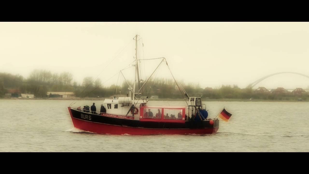 Der Tümmler - Fehmarn