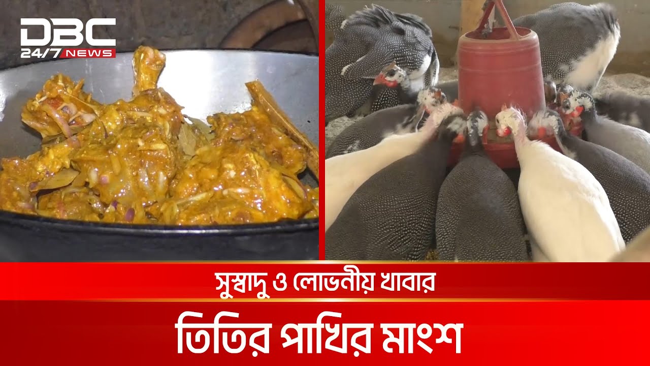 প্রবাসীর তিতির খামার | DBC News Special