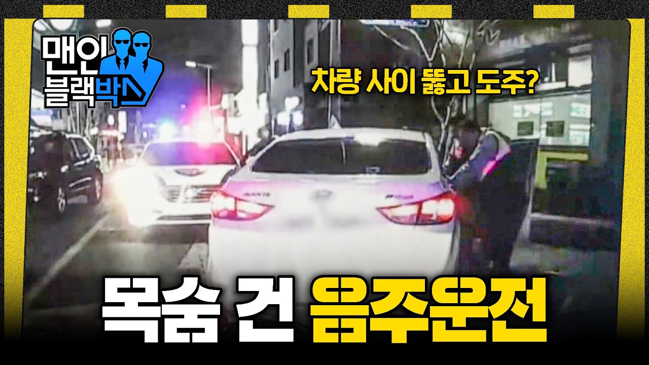 [👥#맨인블랙박스] '무서워서 도망갔어요..' 비겁한 변명만 늘어놓는 이성 잃은 운전자들 #달리 #DALI