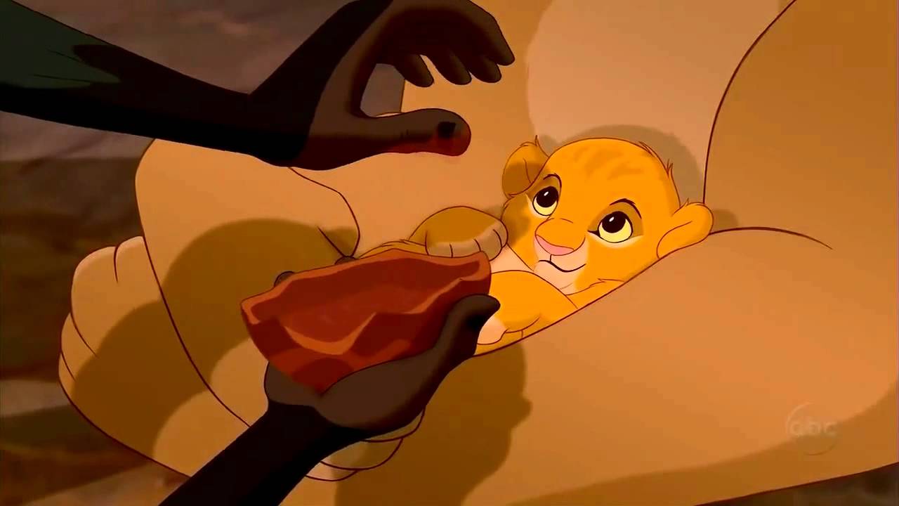 Circle of Life