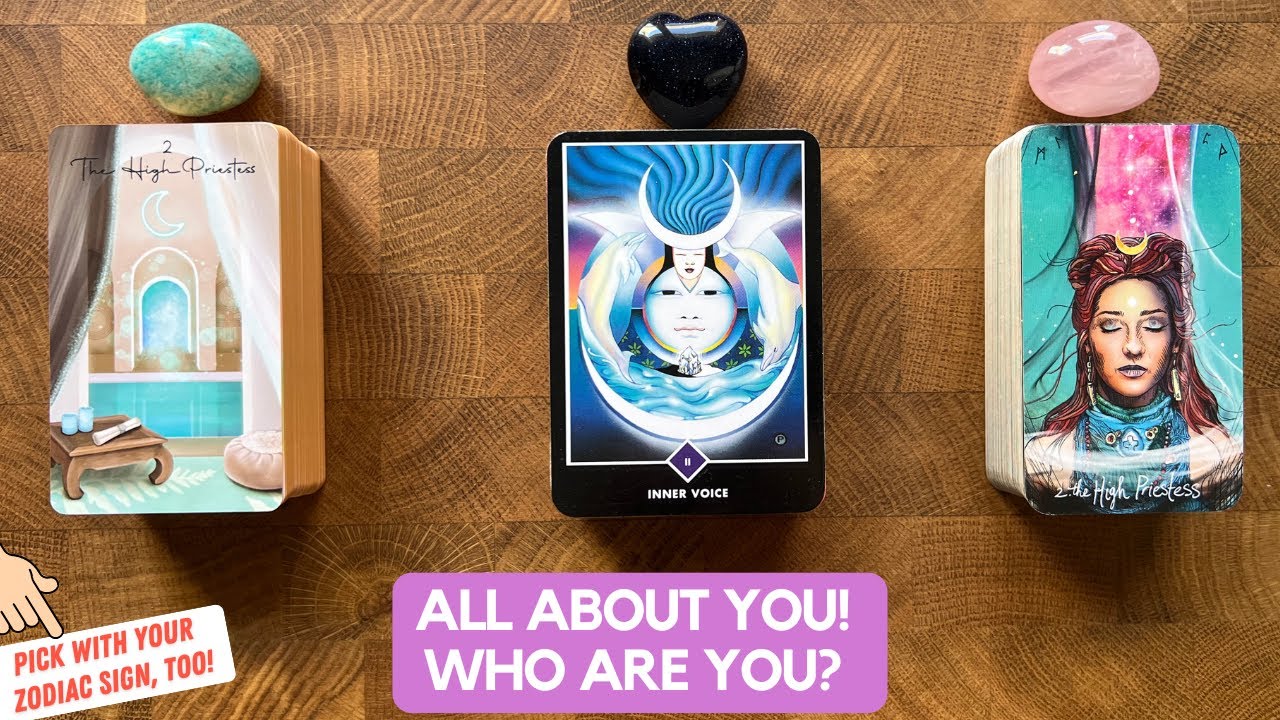 All About you! Who Are You? | Timeless Reading