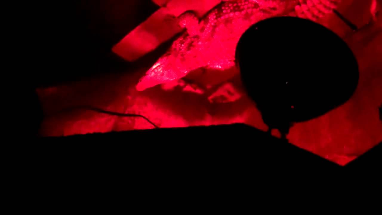 DANTE'S DOWN THE HATCH, AN ATLANTA LANDMARK FOR OVER 40 YEARS