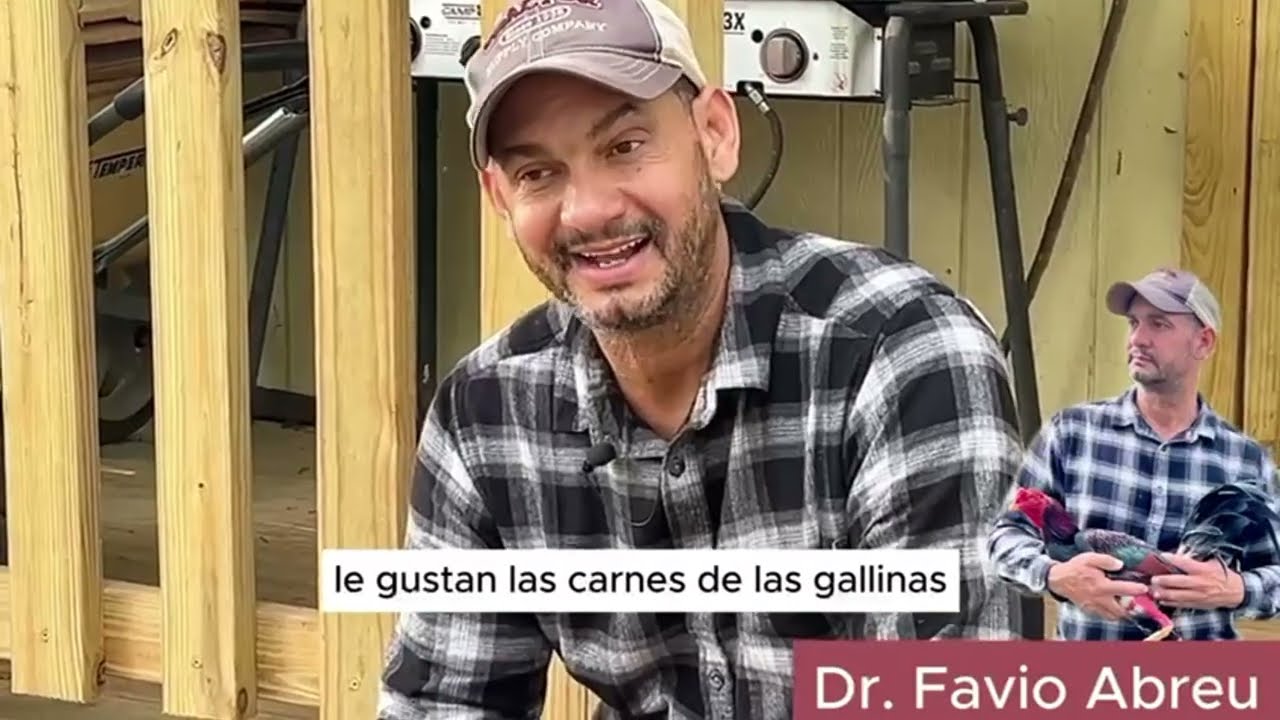 El Doctor Fabio Abreu explica Los cuatro pilares para la crianza