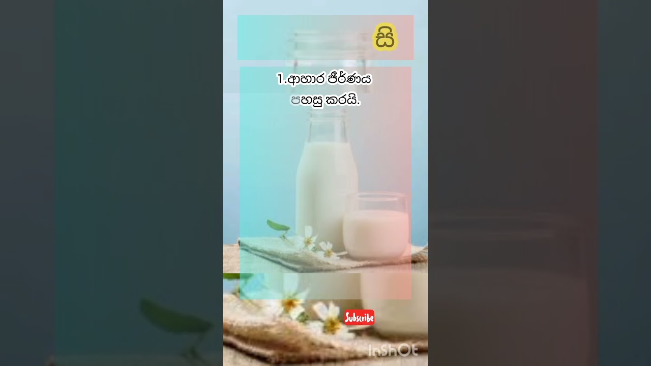Amazing benefits in Goat Milk#එළුකිරි සතු විශ්මිත ගුණාංග#srilanka 🇱🇰#colombo#subscribe 👍👍