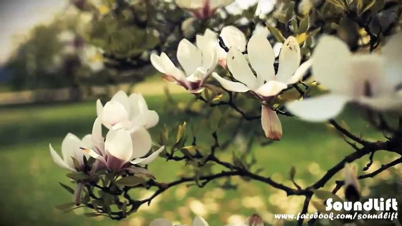 SoundLift - Old Memories (Original Mix)