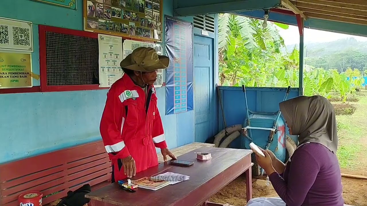 BUDIDAYA IKAN GURAME | | ROSITA ANGELINA 