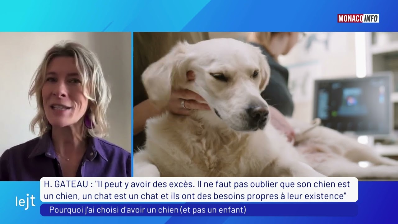 Tendance : l'amour débordant pour nos animaux de compagnie