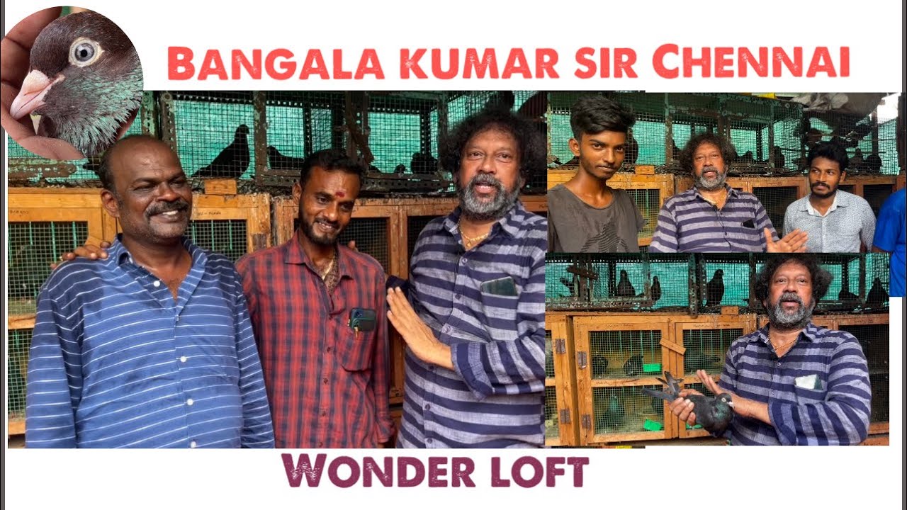 Bangala kumar sir Chennai (wonder loft )