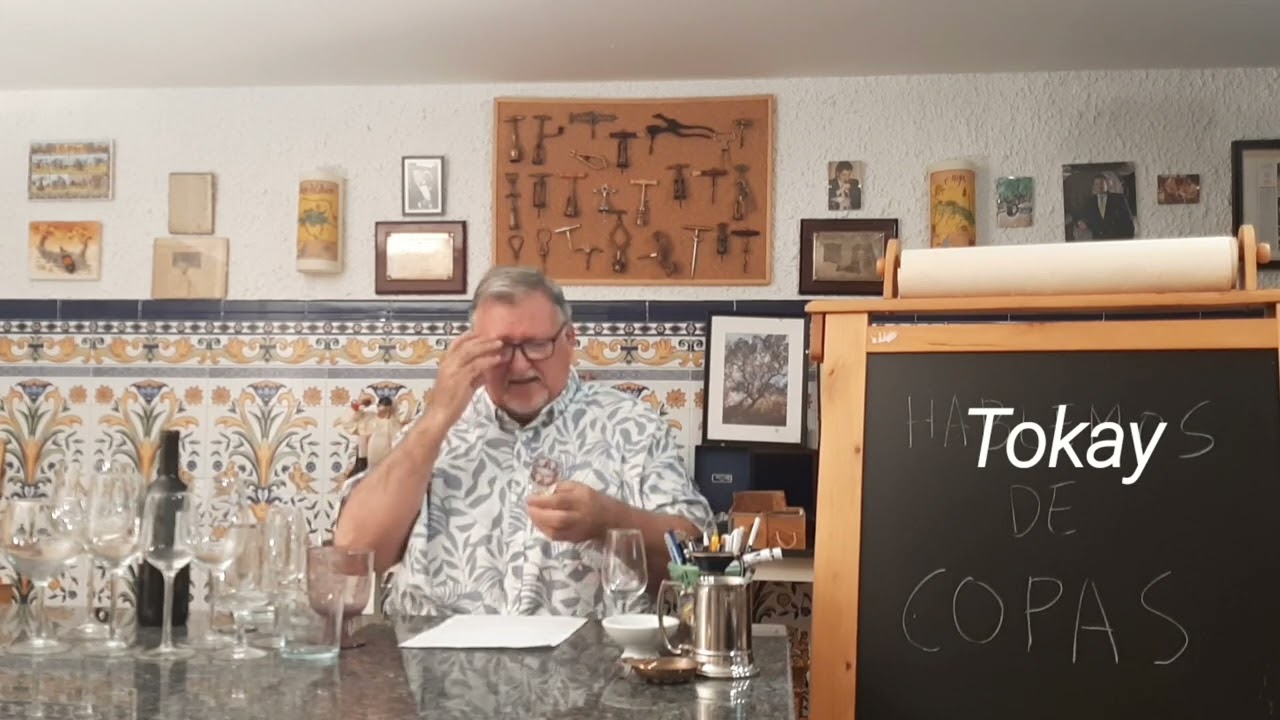73 - Que copas usar para degustar los vinos.
