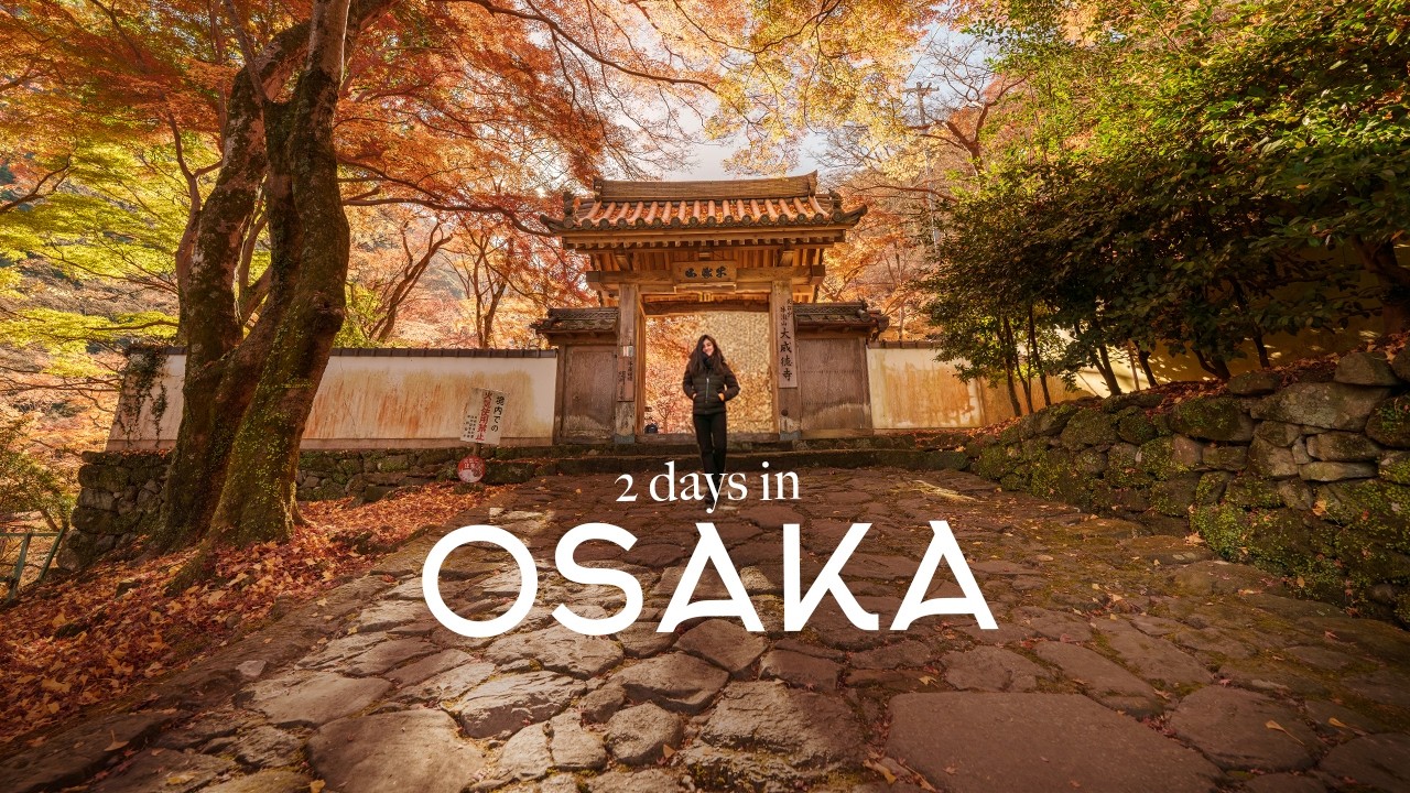 What to Do in Osaka, Japan 🍁 Art Cafés & Shops