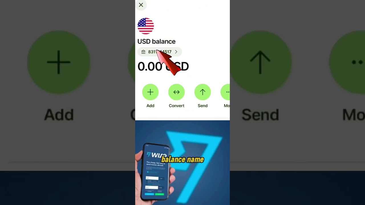 HOW TO GET USD ACCOUNT DETAILS FROM YOUR WISE ACCOUNT